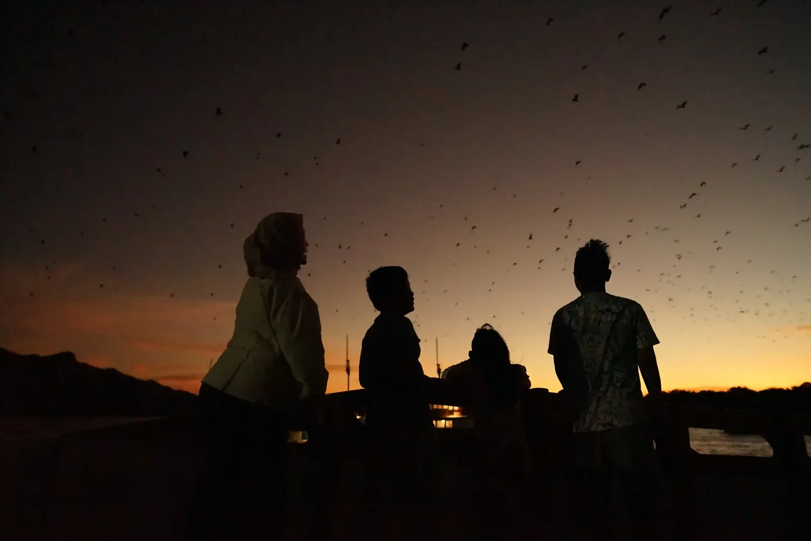 The Kalong Island flying-fox departure at dusk, seen from the deck.