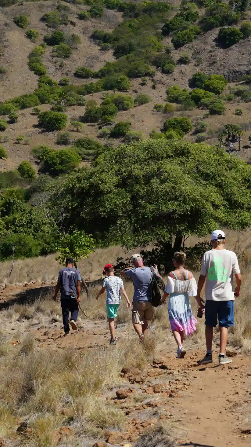 Rinca — the shorter ranger walk, and the one most groups take.