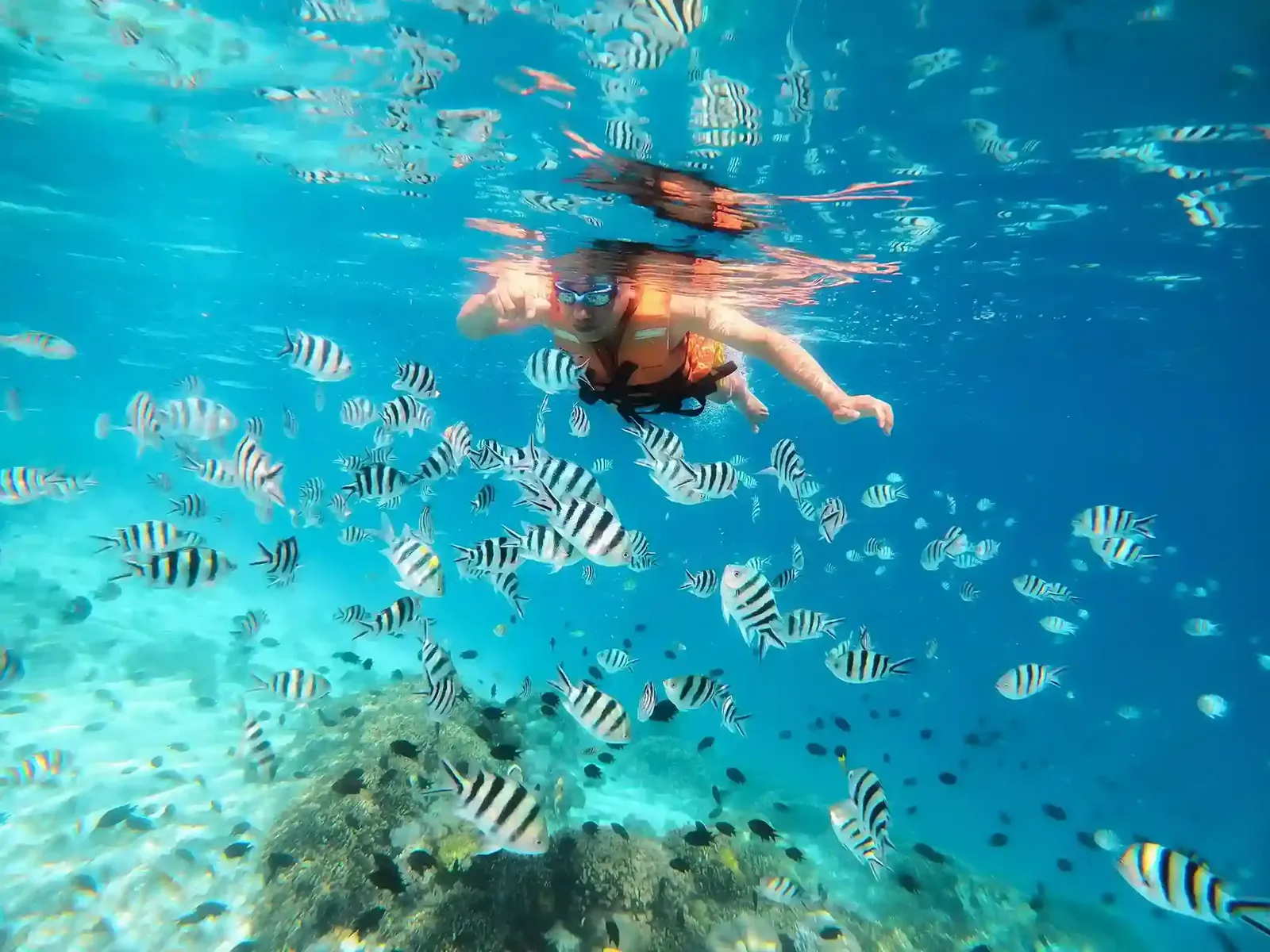 Shallow reef within an hour of the harbour.