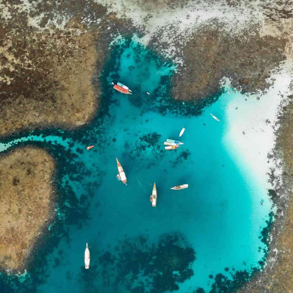 Labuan Bajo vs. Bali for Komodo Trips in 2027: Which Hub Offers Better Ferry Access and Lower C