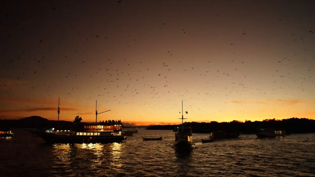 How Many Nights Should a Komodo Private Charter Be — One, Two, Three or Five?