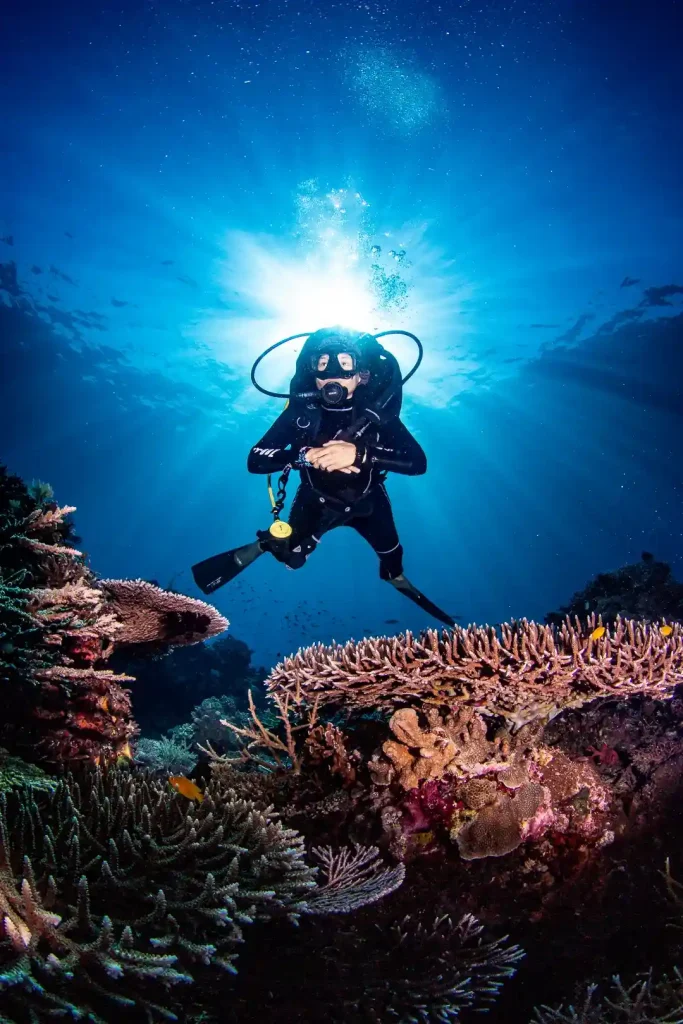 Komodo Liveaboard Early-Bird Discounts for 2027 Trips: Secure Your Dive Adventure
