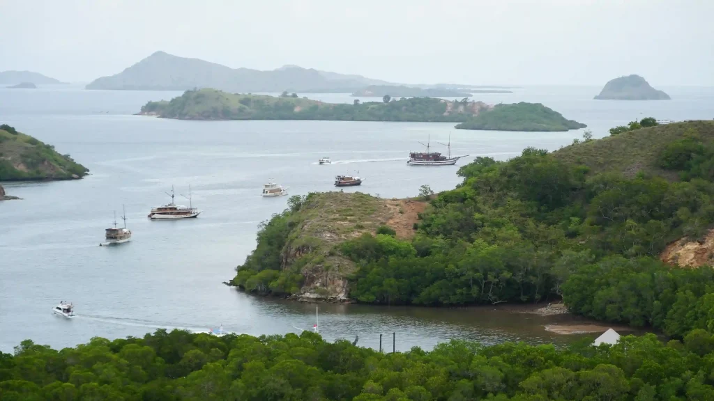 Komodo Island or Rinca for the Dragon Trek? Distance, Difficulty and Fees